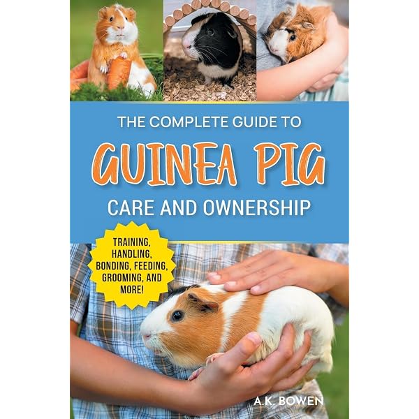 Guinea Pigs: The Complete Guide: Guinea Pig Care, DIY Toys